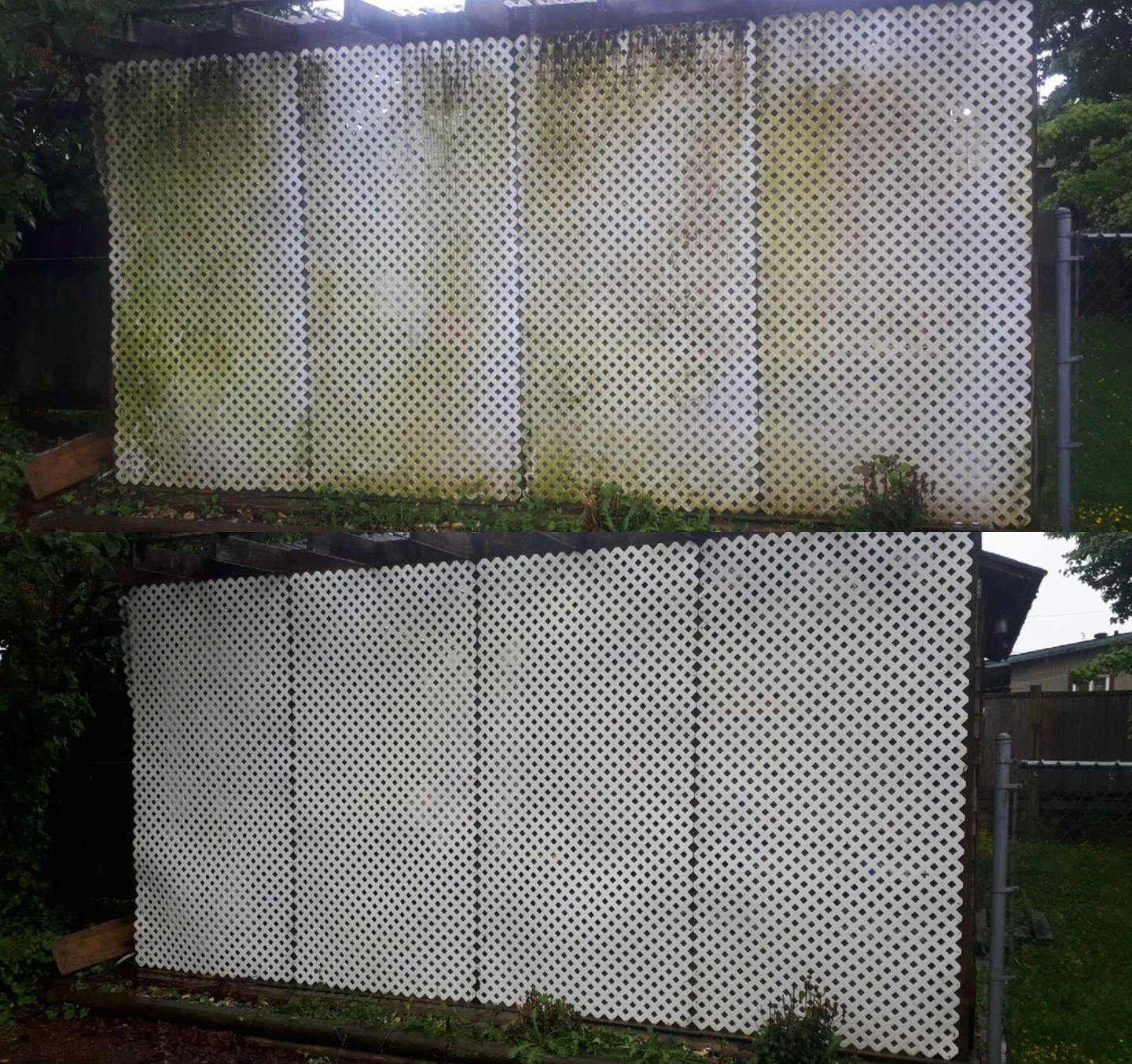 Lattice fence before and after soft washing