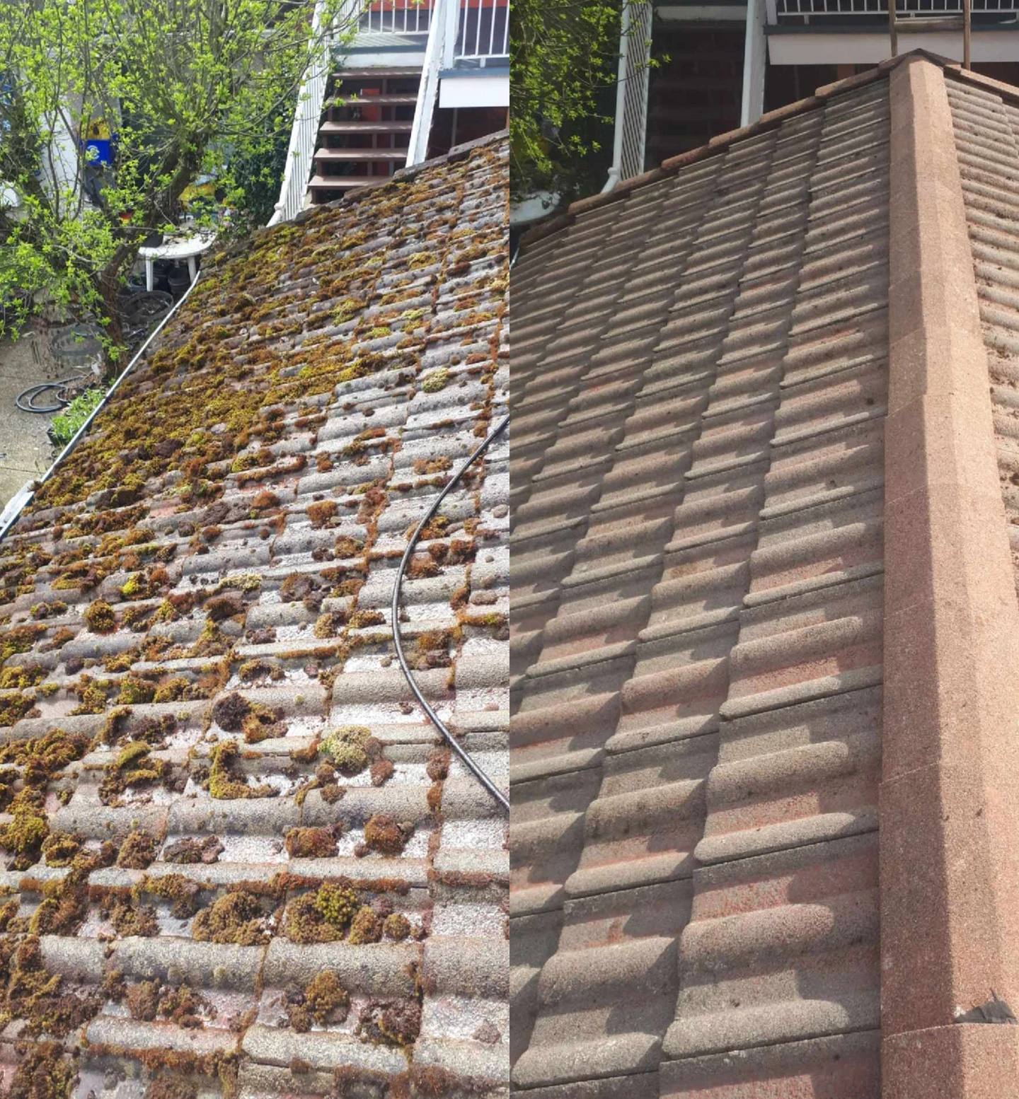 Temporary residential roof cleaning reference image