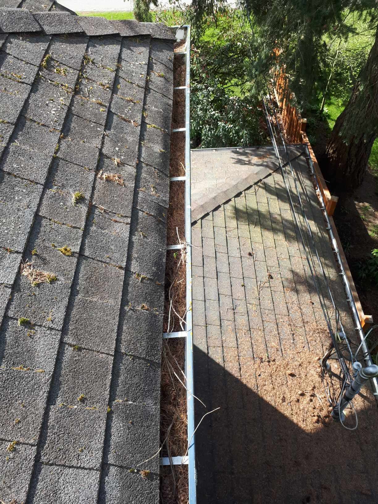 Debris-filled residential gutter before cleaning